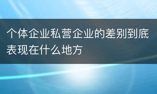 个体企业私营企业的差别到底表现在什么地方