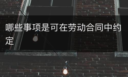 哪些事项是可在劳动合同中约定