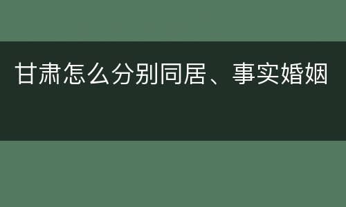 甘肃怎么分别同居、事实婚姻