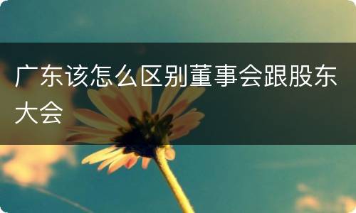 广东该怎么区别董事会跟股东大会