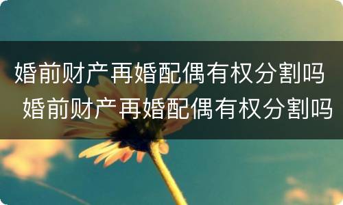 婚前财产再婚配偶有权分割吗 婚前财产再婚配偶有权分割吗法律规定
