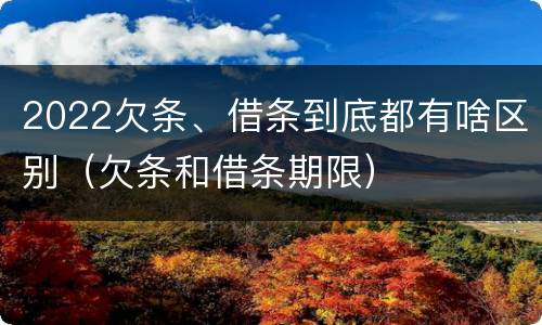 2022欠条、借条到底都有啥区别（欠条和借条期限）