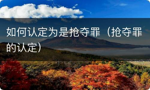 如何认定为是抢夺罪（抢夺罪的认定）