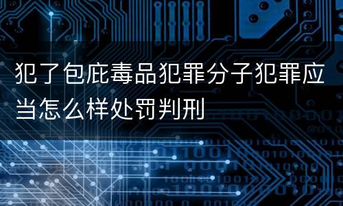犯了包庇毒品犯罪分子犯罪应当怎么样处罚判刑