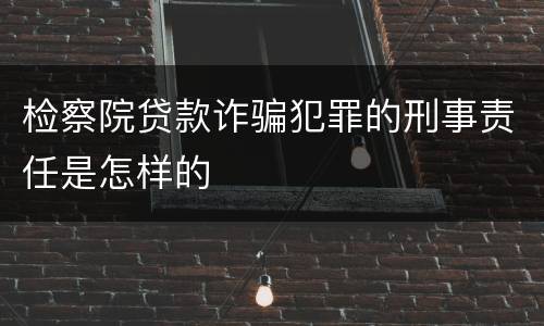 检察院贷款诈骗犯罪的刑事责任是怎样的