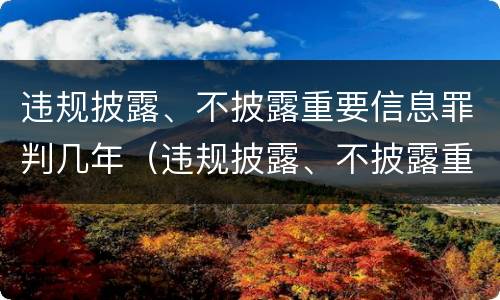 违规披露、不披露重要信息罪判几年（违规披露、不披露重要信息罪）