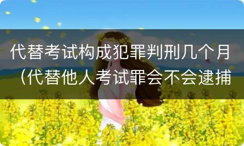 代替考试构成犯罪判刑几个月（代替他人考试罪会不会逮捕）