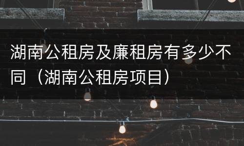 湖南公租房及廉租房有多少不同（湖南公租房项目）