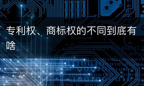 专利权、商标权的不同到底有啥