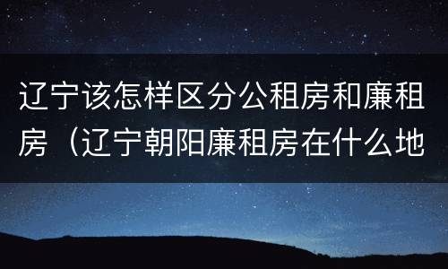 辽宁该怎样区分公租房和廉租房（辽宁朝阳廉租房在什么地方）