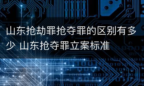 山东抢劫罪抢夺罪的区别有多少 山东抢夺罪立案标准