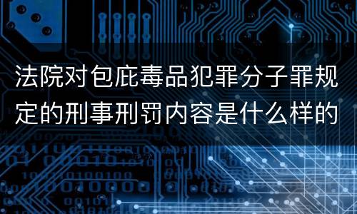 法院对包庇毒品犯罪分子罪规定的刑事刑罚内容是什么样的