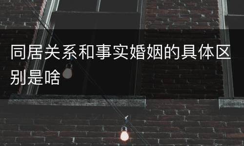 同居关系和事实婚姻的具体区别是啥