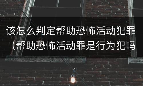该怎么判定帮助恐怖活动犯罪（帮助恐怖活动罪是行为犯吗）