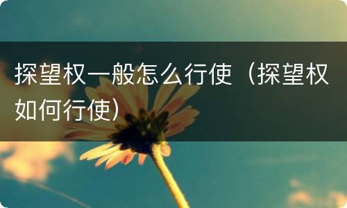 探望权一般怎么行使（探望权如何行使）