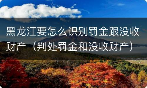黑龙江要怎么识别罚金跟没收财产（判处罚金和没收财产）