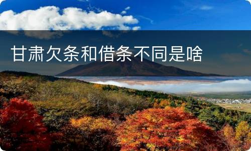 甘肃欠条和借条不同是啥