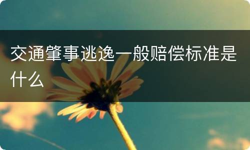 交通肇事逃逸一般赔偿标准是什么