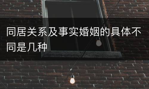 同居关系及事实婚姻的具体不同是几种