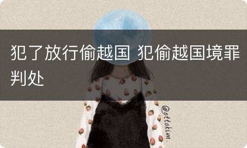 犯了放行偷越国 犯偷越国境罪判处