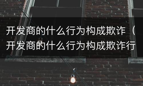开发商的什么行为构成欺诈（开发商的什么行为构成欺诈行为）