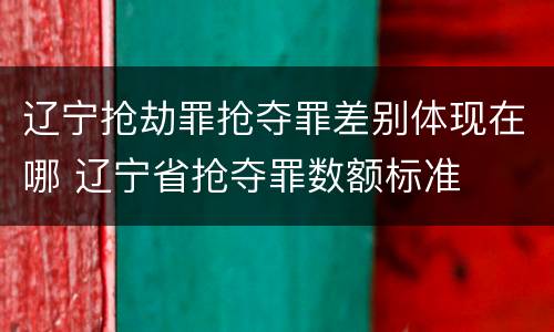 辽宁抢劫罪抢夺罪差别体现在哪 辽宁省抢夺罪数额标准