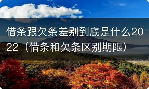 借条跟欠条差别到底是什么2022（借条和欠条区别期限）
