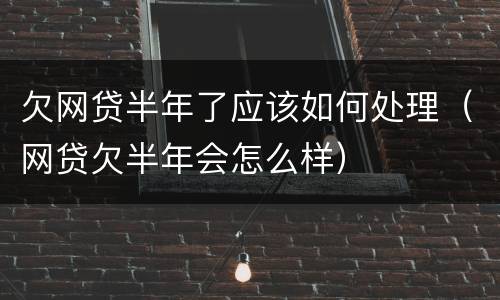 欠网贷半年了应该如何处理（网贷欠半年会怎么样）
