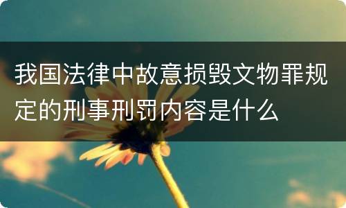 我国法律中故意损毁文物罪规定的刑事刑罚内容是什么