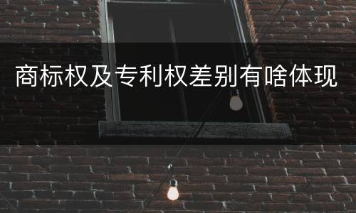 商标权及专利权差别有啥体现