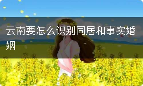 云南要怎么识别同居和事实婚姻