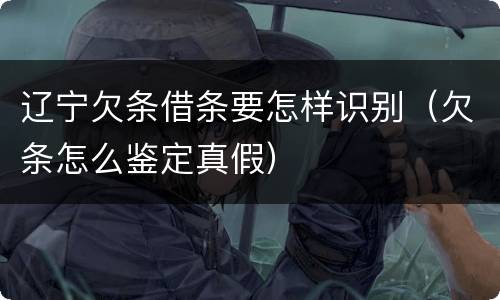 辽宁欠条借条要怎样识别（欠条怎么鉴定真假）