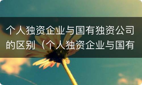 个人独资企业与国有独资公司的区别（个人独资企业与国有独资公司的区别在哪里）