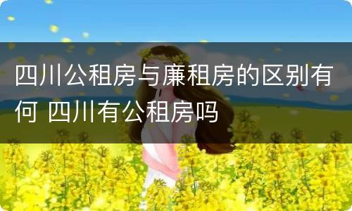 四川公租房与廉租房的区别有何 四川有公租房吗