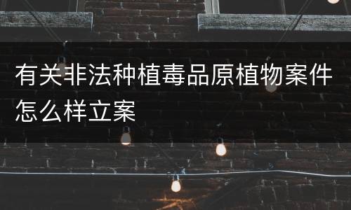 有关非法种植毒品原植物案件怎么样立案