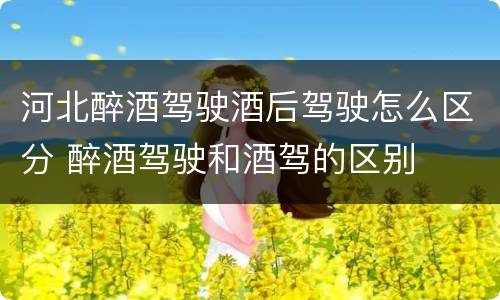 河北醉酒驾驶酒后驾驶怎么区分 醉酒驾驶和酒驾的区别