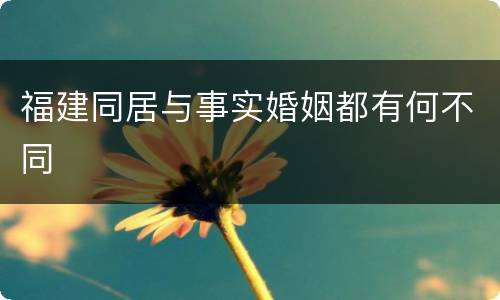 福建同居与事实婚姻都有何不同
