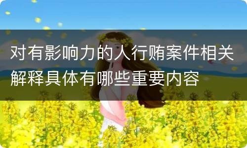 对有影响力的人行贿案件相关解释具体有哪些重要内容