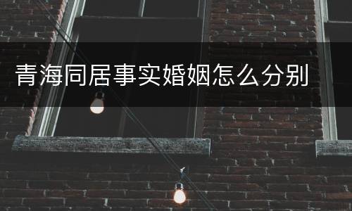 青海同居事实婚姻怎么分别