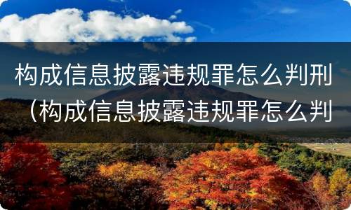 构成信息披露违规罪怎么判刑（构成信息披露违规罪怎么判刑的）