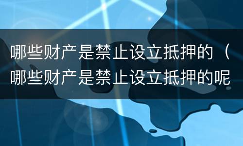 哪些财产是禁止设立抵押的（哪些财产是禁止设立抵押的呢）