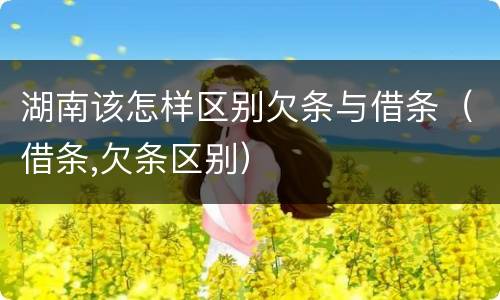 湖南该怎样区别欠条与借条（借条,欠条区别）