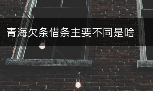 青海欠条借条主要不同是啥