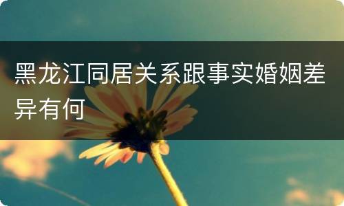 黑龙江同居关系跟事实婚姻差异有何