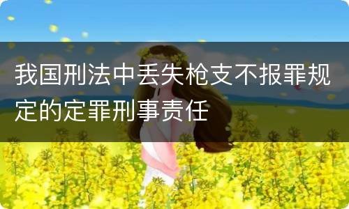我国刑法中丢失枪支不报罪规定的定罪刑事责任