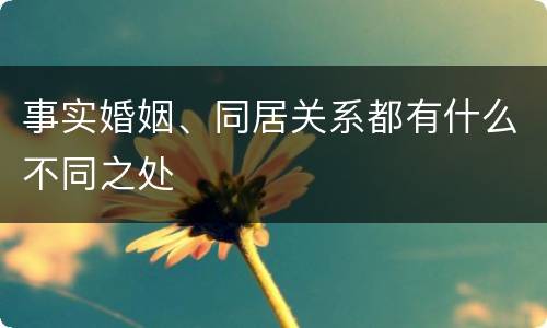 事实婚姻、同居关系都有什么不同之处