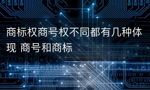 商标权商号权不同都有几种体现 商号和商标