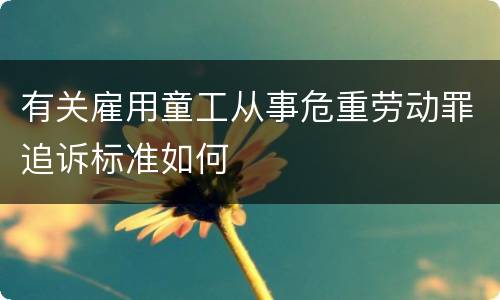 有关雇用童工从事危重劳动罪追诉标准如何