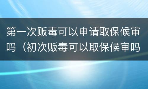 第一次贩毒可以申请取保候审吗（初次贩毒可以取保候审吗）