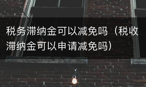 税务滞纳金可以减免吗（税收滞纳金可以申请减免吗）